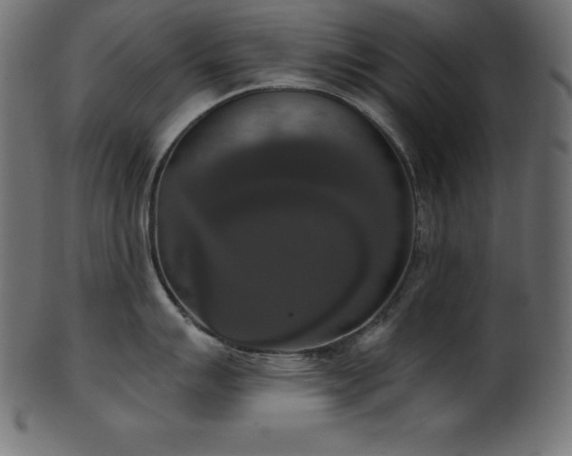 X0000102041007200807181508