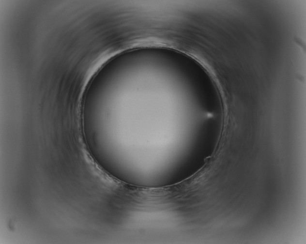 X0000102041008200807181508