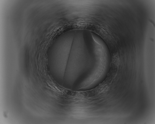 X0000102041009200807181507