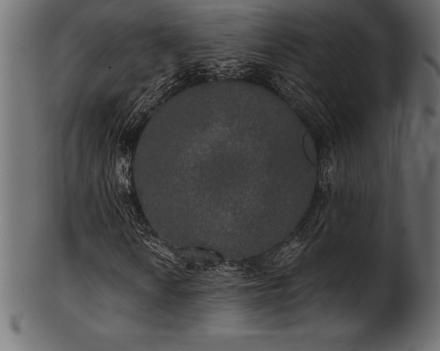 X0000102041010200807181507