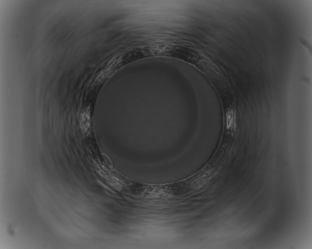 X0000102041011200807181507