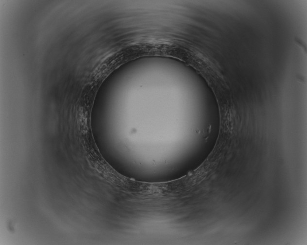 X0000102041013200807181508