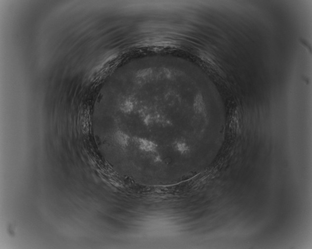 X0000102041014200807181508