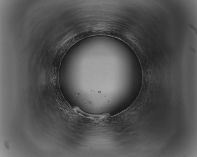 X0000102041015200807181508