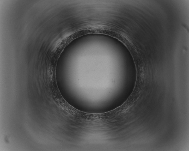 X0000102041016200807181508