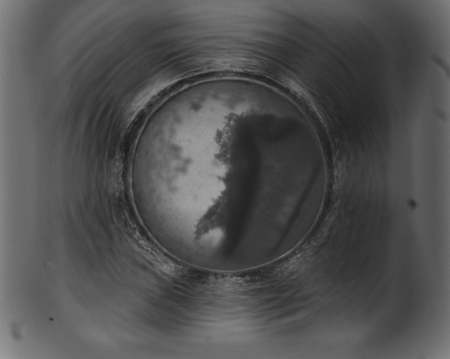 X0000102041019200807181508