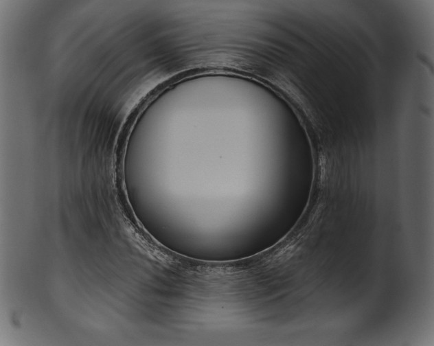 X0000102041020200807181508