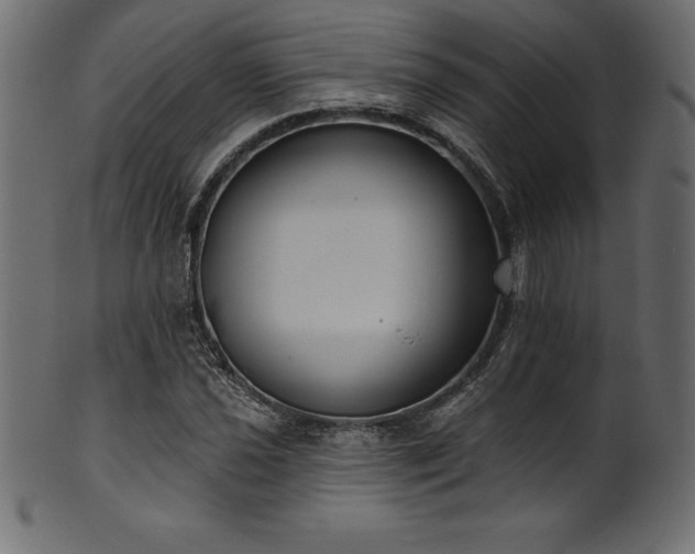 X0000102041021200807181508