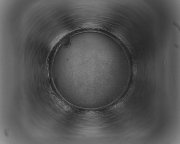 X0000102041022200807181508