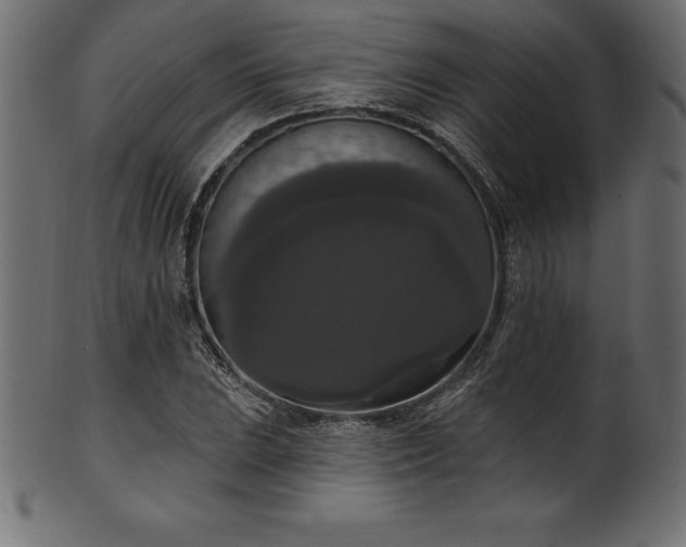 X0000102041023200807181508
