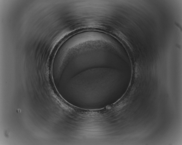 X0000102041024200807181508