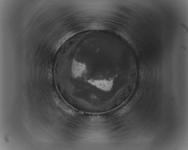 X0000102041025200807181508