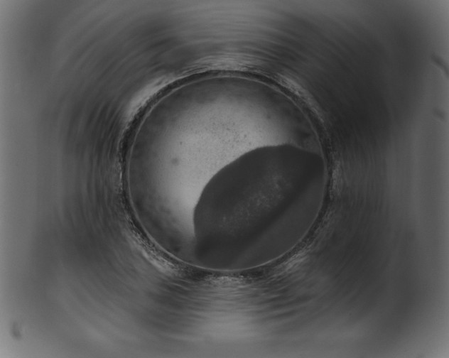 X0000102041027200807181508