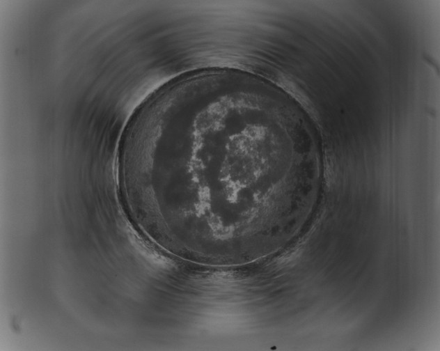 X0000102041028200807181508