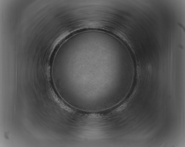 X0000102041029200807181508