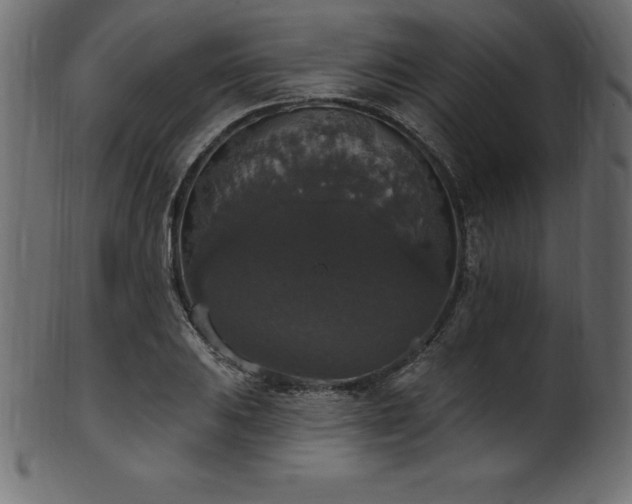 X0000102041031200807181508