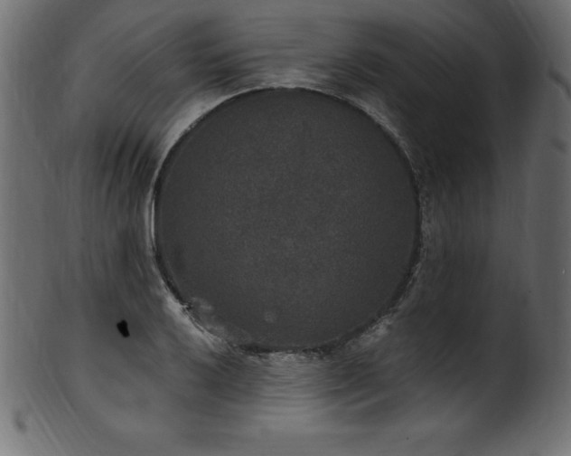 X0000102041032200807181508