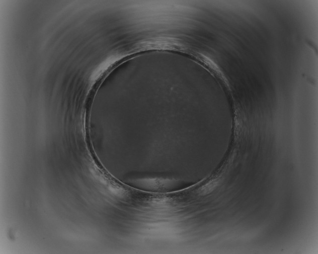 X0000102041035200807181508