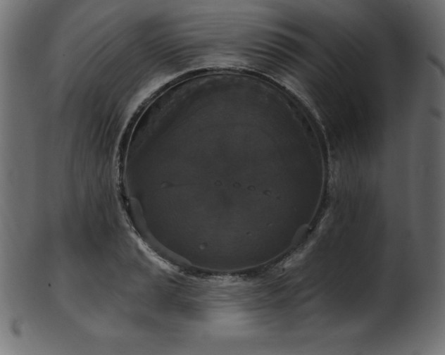 X0000102041037200807181508