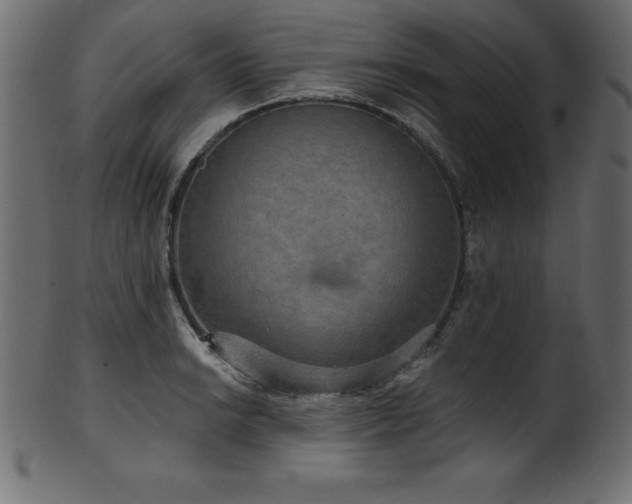 X0000102041038200807181508