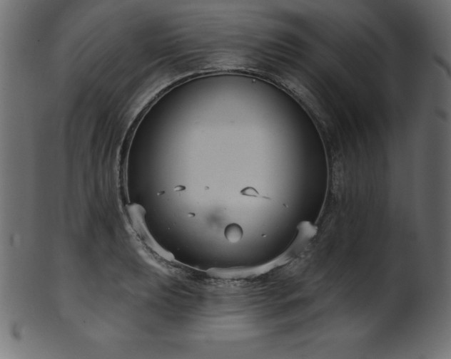 X0000102041039200807181508