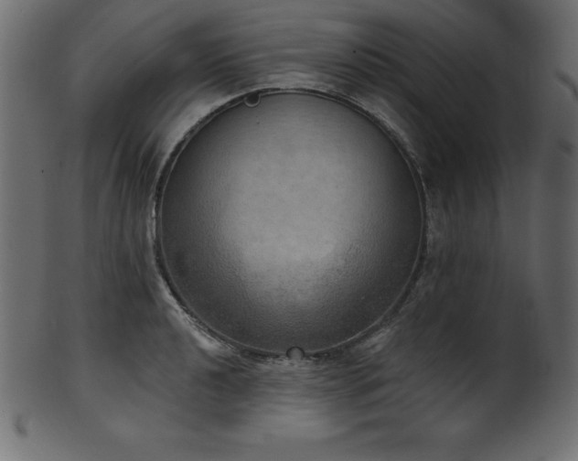 X0000102041040200807181508