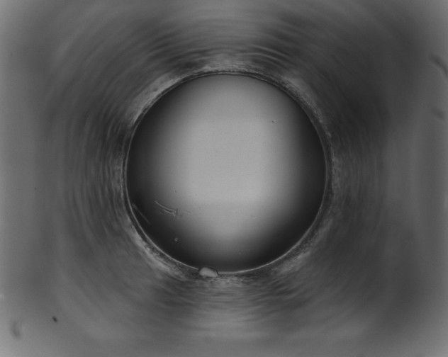 X0000102041041200807181508