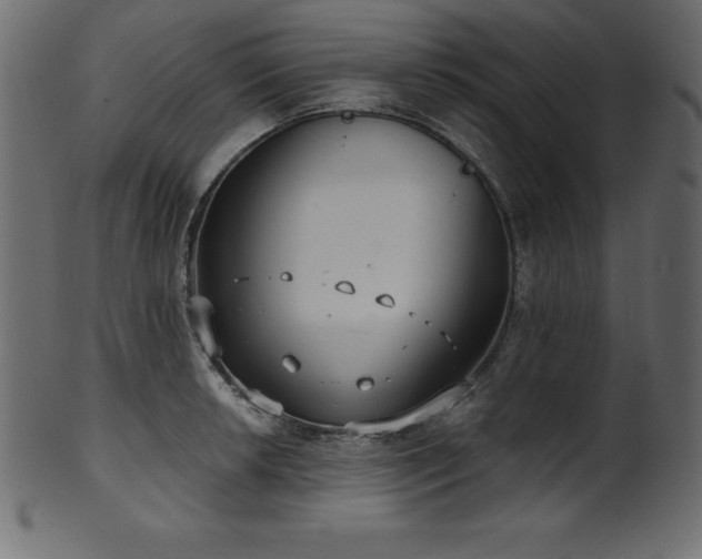 X0000102041042200807181508