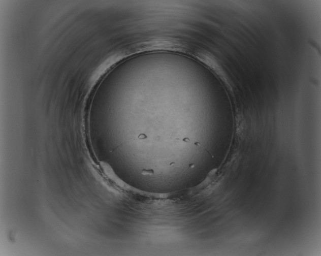 X0000102041043200807181508