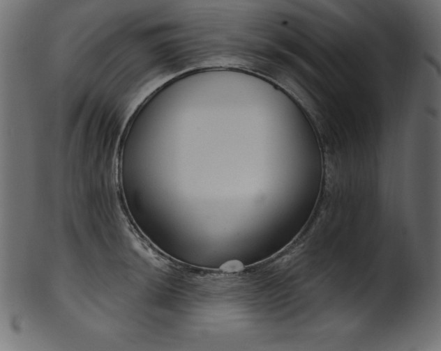 X0000102041044200807181508