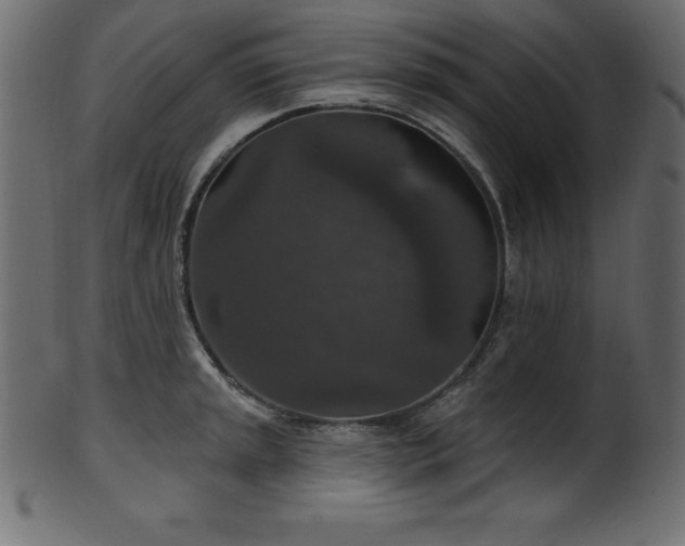 X0000102041045200807181508