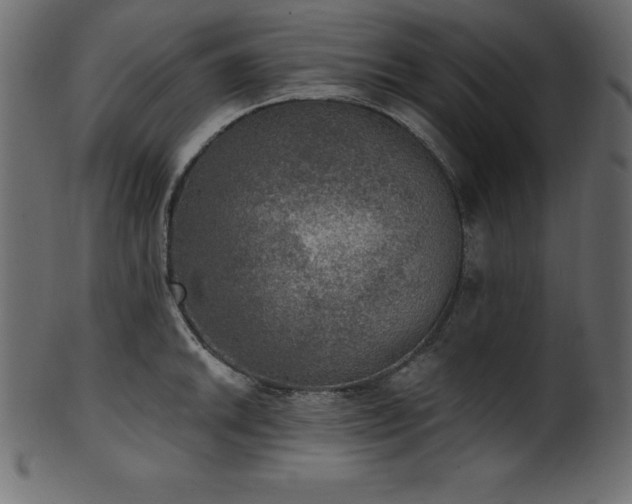 X0000102041046200807181508