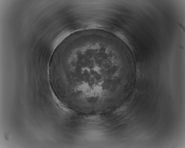X0000102041047200807181508