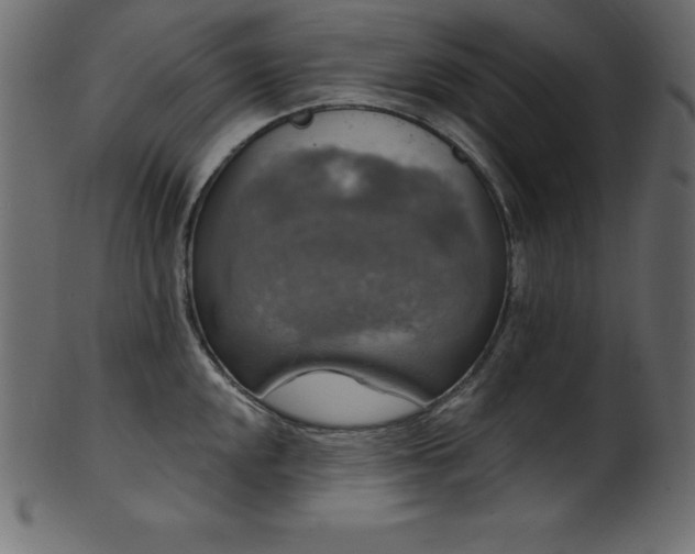 X0000102041048200807181508