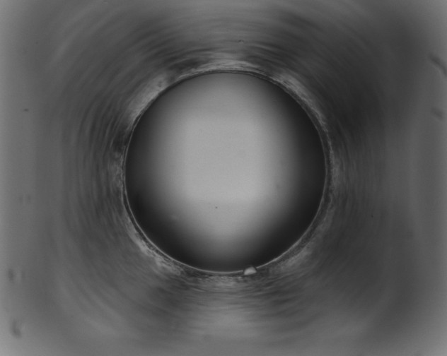 X0000102041049200807181508