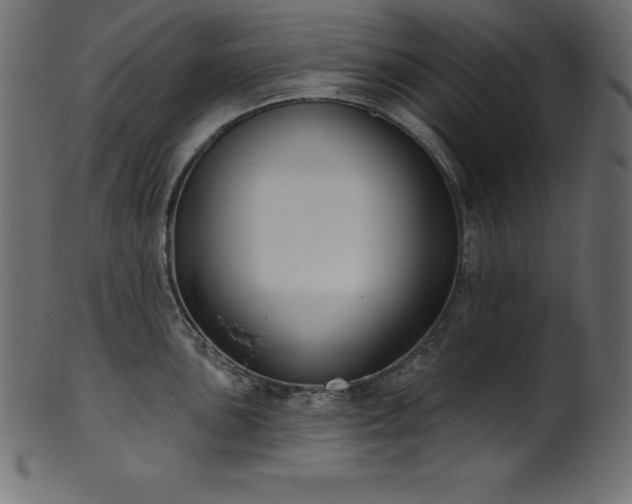 X0000102041051200807181508