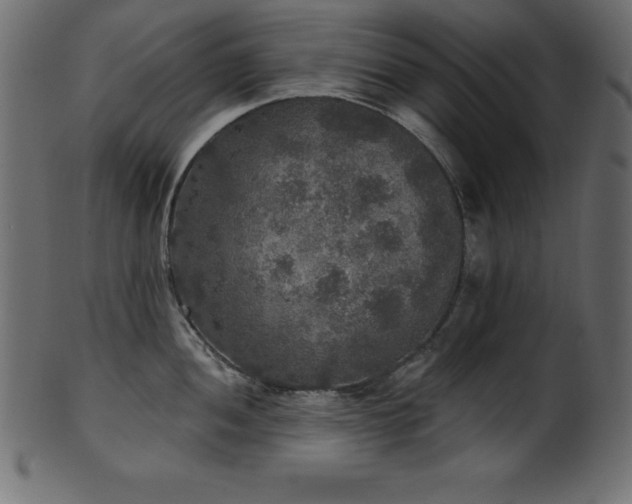X0000102041052200807181508