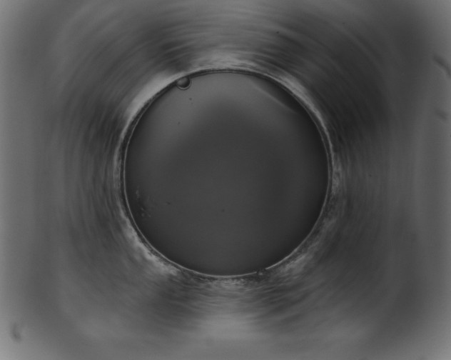 X0000102041053200807181508