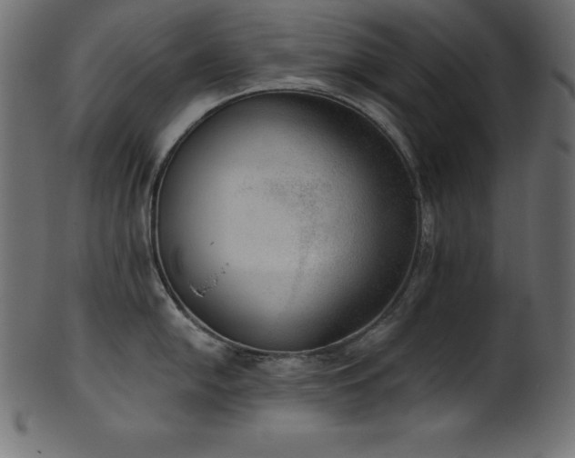X0000102041054200807181508
