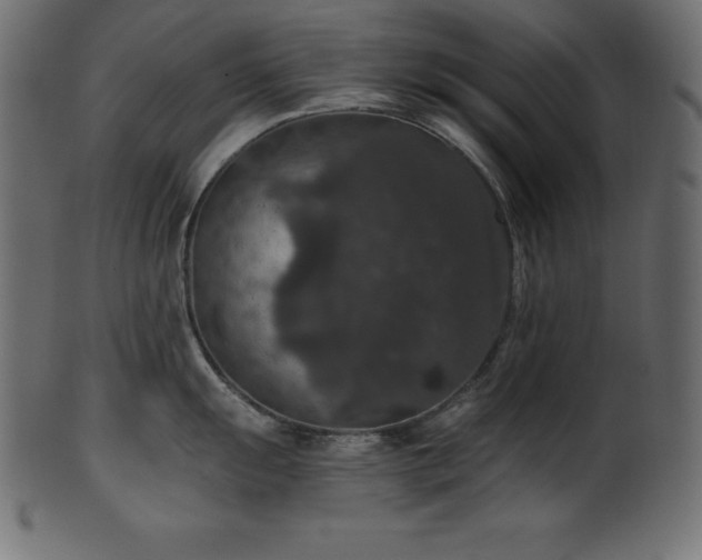 X0000102041055200807181508