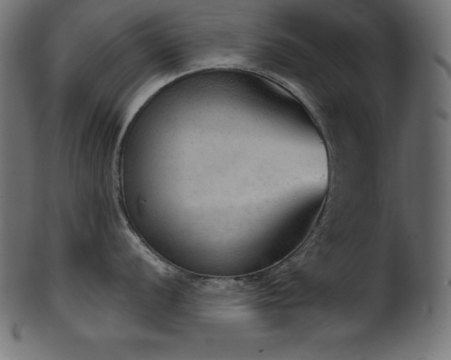 X0000102041056200807181508