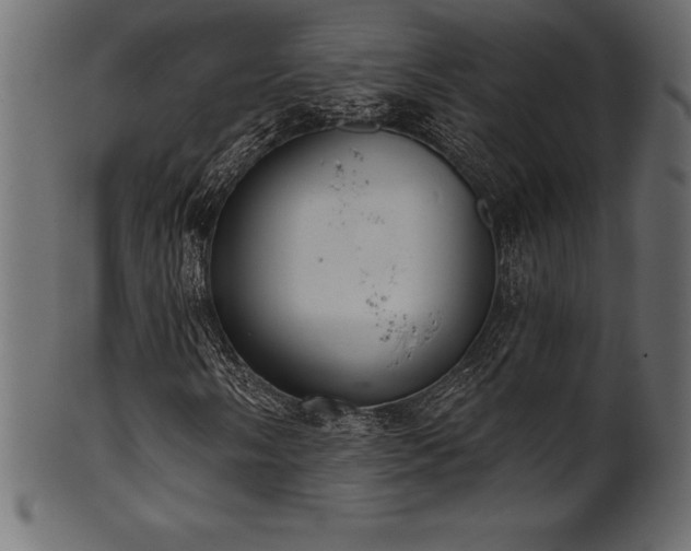 X0000102041058200807181507