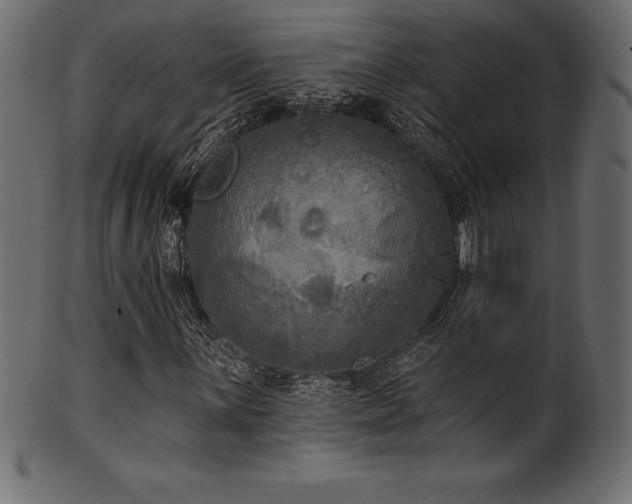 X0000102041059200807181507