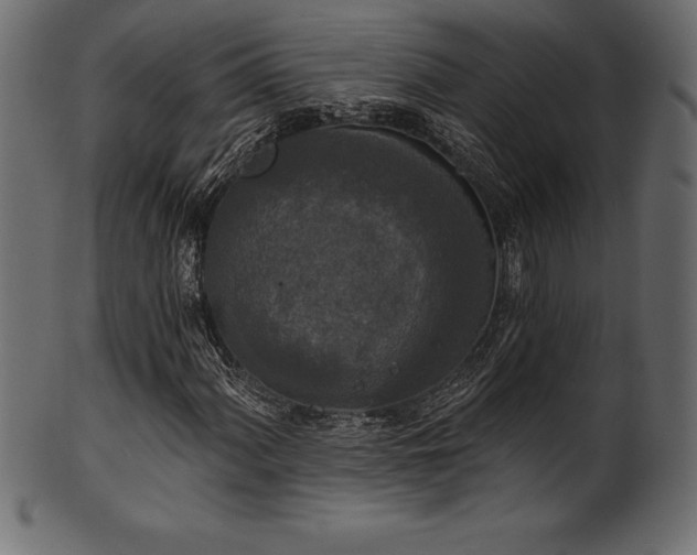 X0000102041060200807181507
