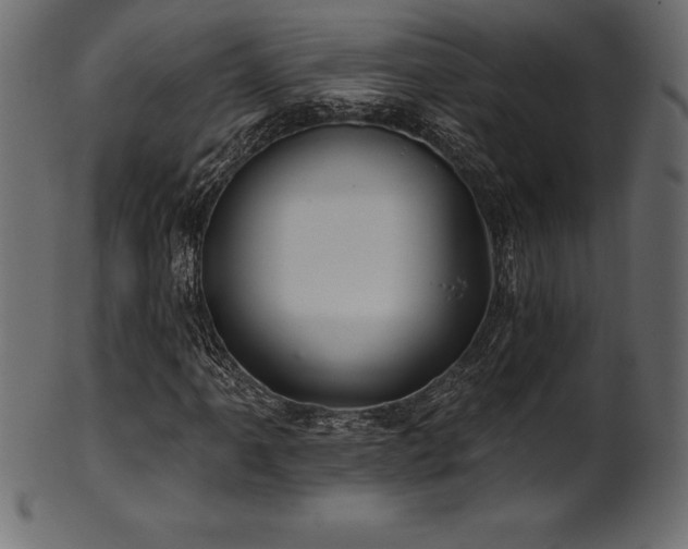 X0000102041061200807181507