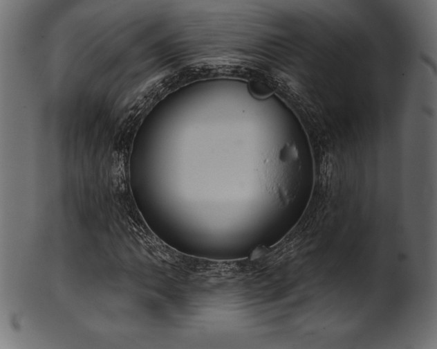 X0000102041062200807181507