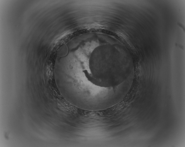 X0000102041063200807181507