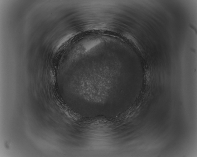 X0000102041064200807181507