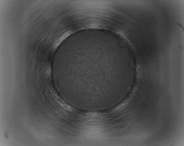 X0000102041065200807181507