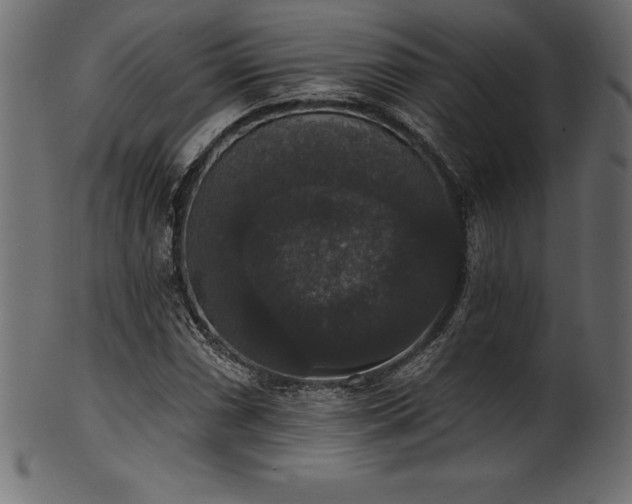 X0000102041066200807181507